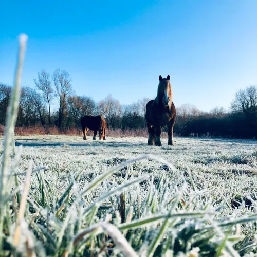 JOURNAL DU MERCREDI 09 FEVRIER ( soir )